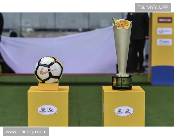 上海申花2024冠军