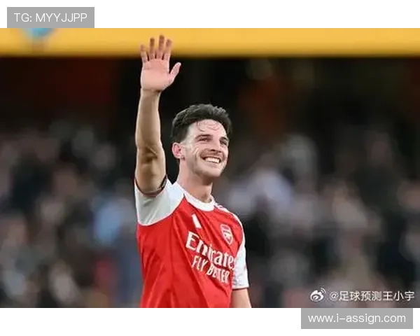 国家队关键战：赖斯在大赛中的表现